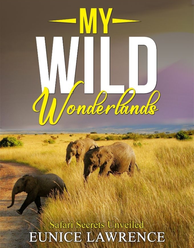 My Wild Wonderlands